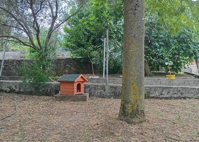 Lily Holiday House